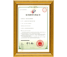 一種城市綠化景觀植物幕墻